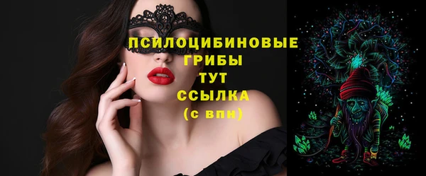 тгк Алзамай