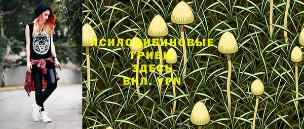тгк Алзамай