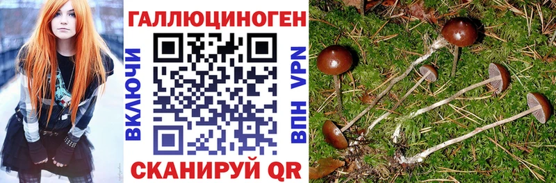 Галлюциногенные грибы мицелий  Сенгилей 