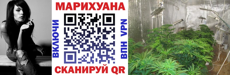 хочу   Сенгилей  omg маркетплейс  Каннабис OG Kush 